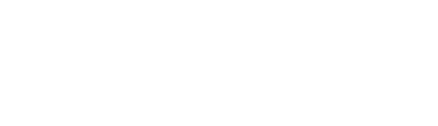 冲浪者科技专注于网站建设和小程序开发